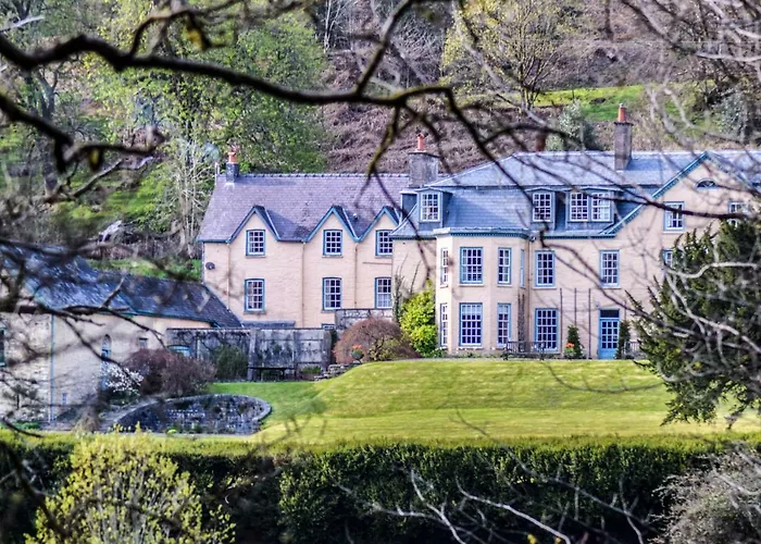 The Old House, Llwyn Madoc
